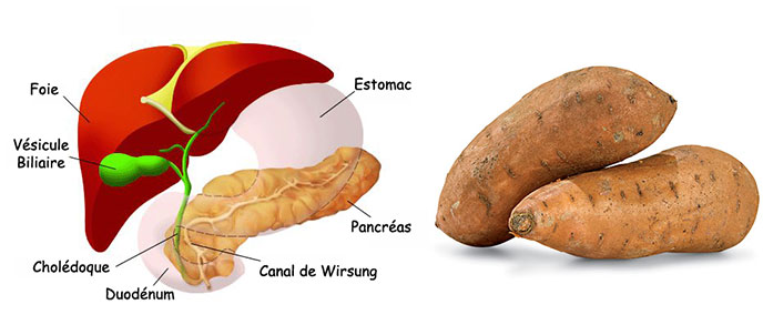 patate-douce-pancreas
